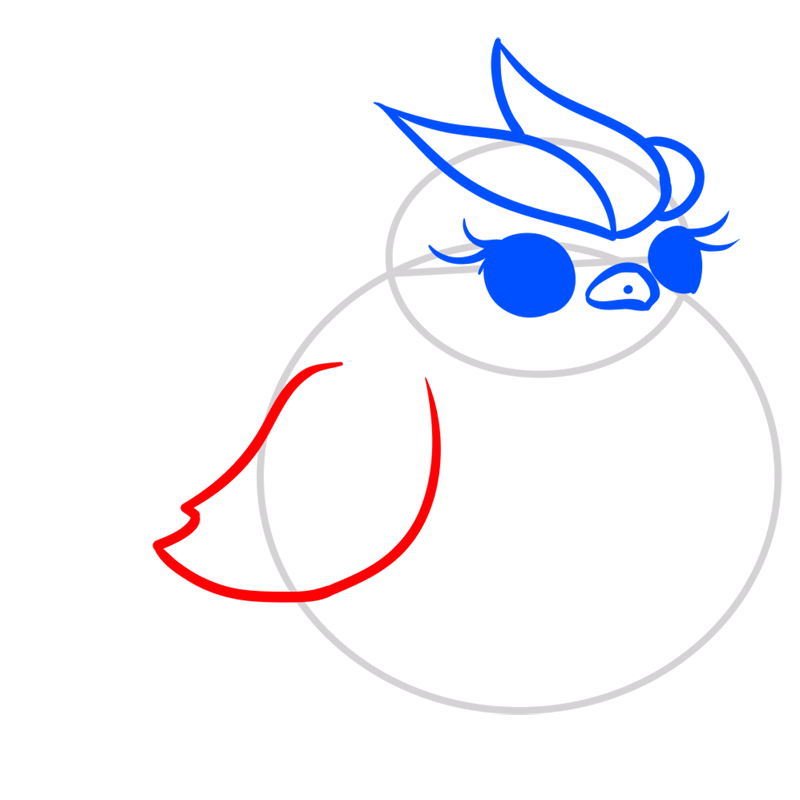 Learn easy to draw Blue Bird step 04