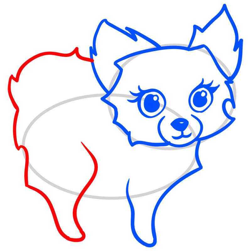 Learn easy to draw Cute Dog step 07