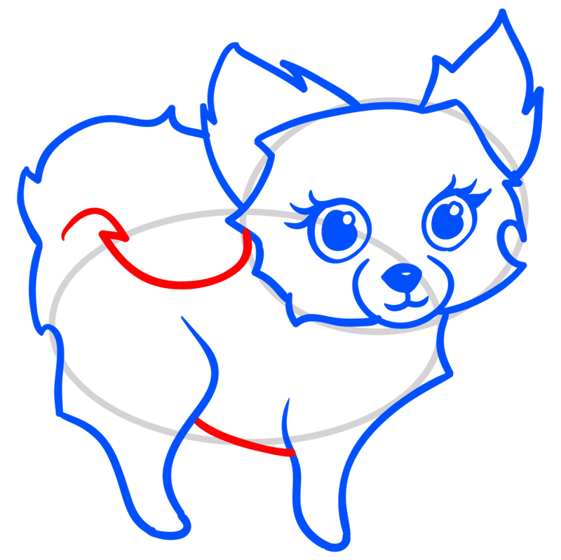 Learn easy to draw Cute Dog step 08