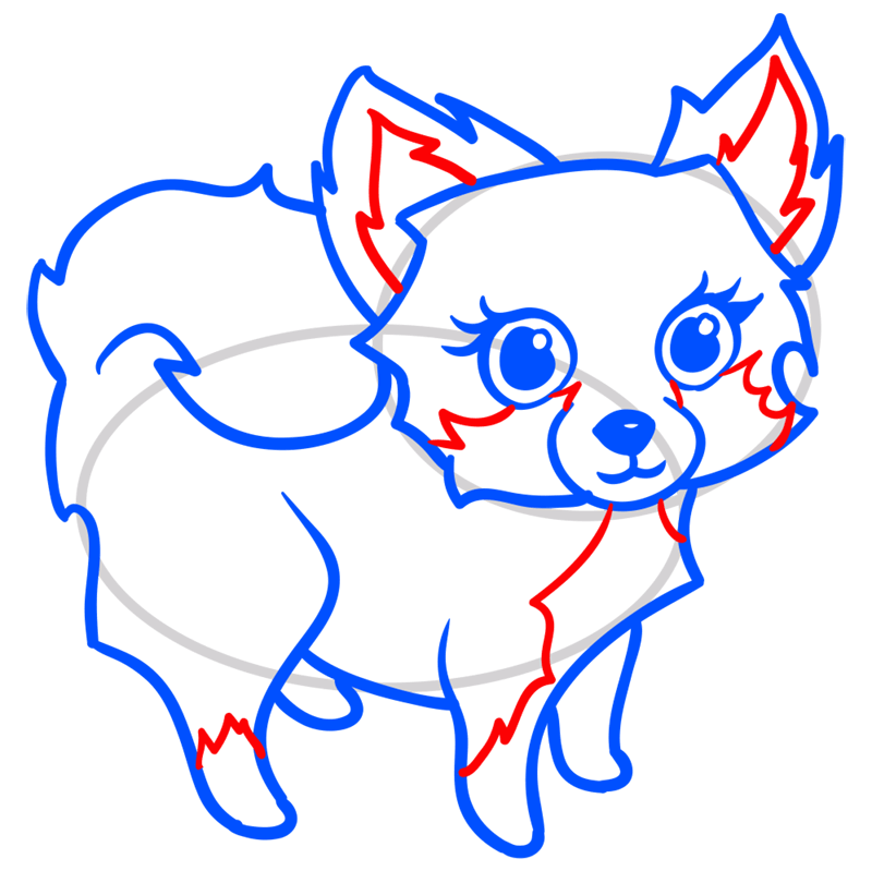 Learn easy to draw Cute Dog step 10