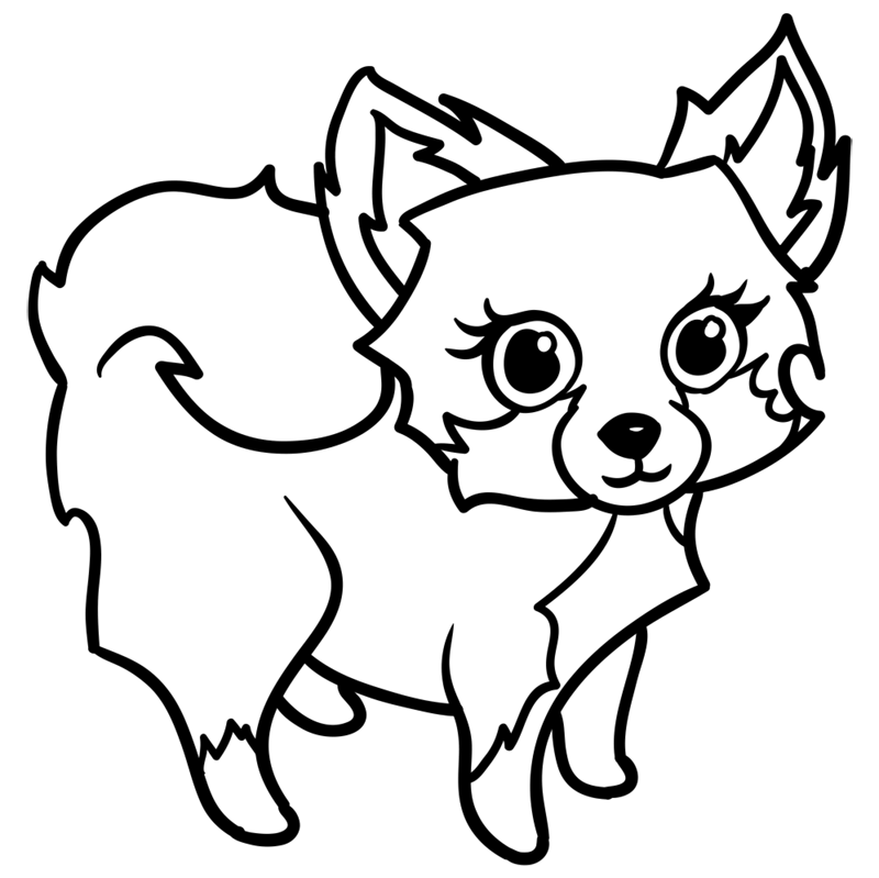 Learn easy to draw Cute Dog step 11