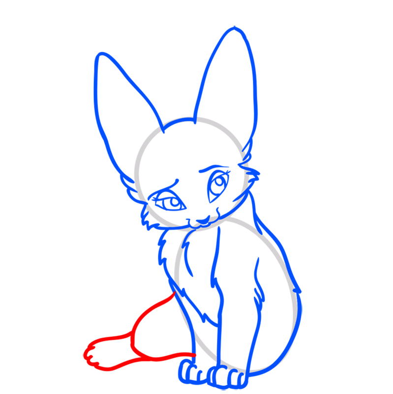 Learn easy to draw Nice Fennec Fox step 08