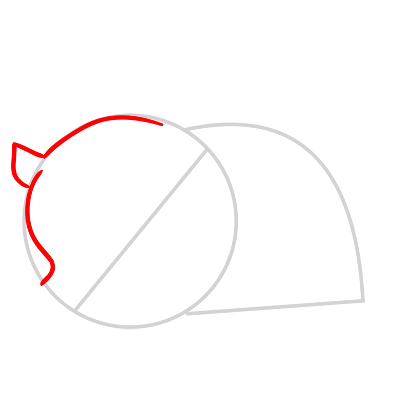 Learn easy to draw Triceratops step 02
