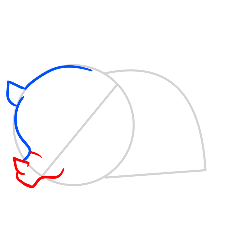 Learn easy to draw Triceratops step 03