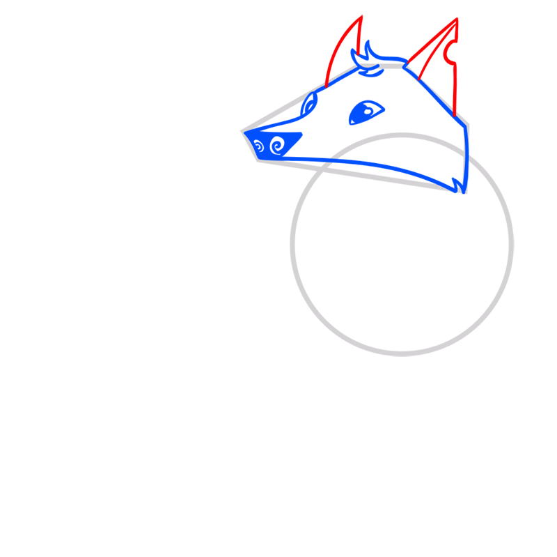 Learn easy to draw Arctic Wolf step 04