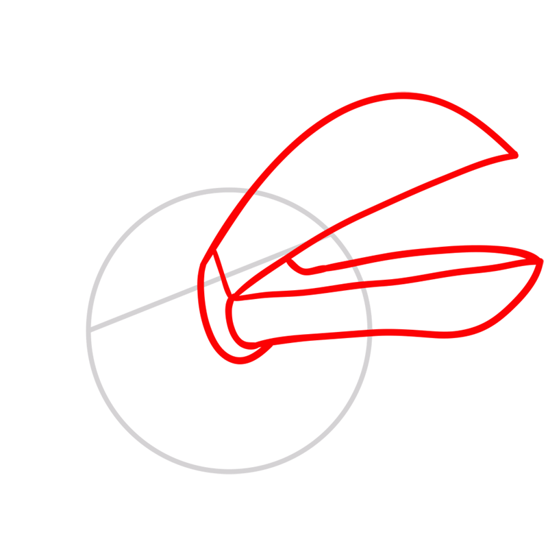 Learn easy to draw Boomerang Bird step 02