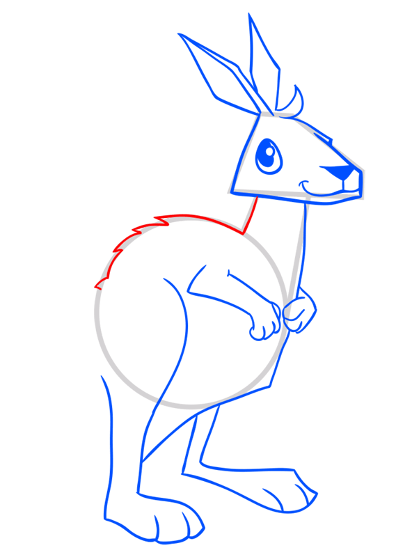 Learn easy to draw Kangaroo step 10