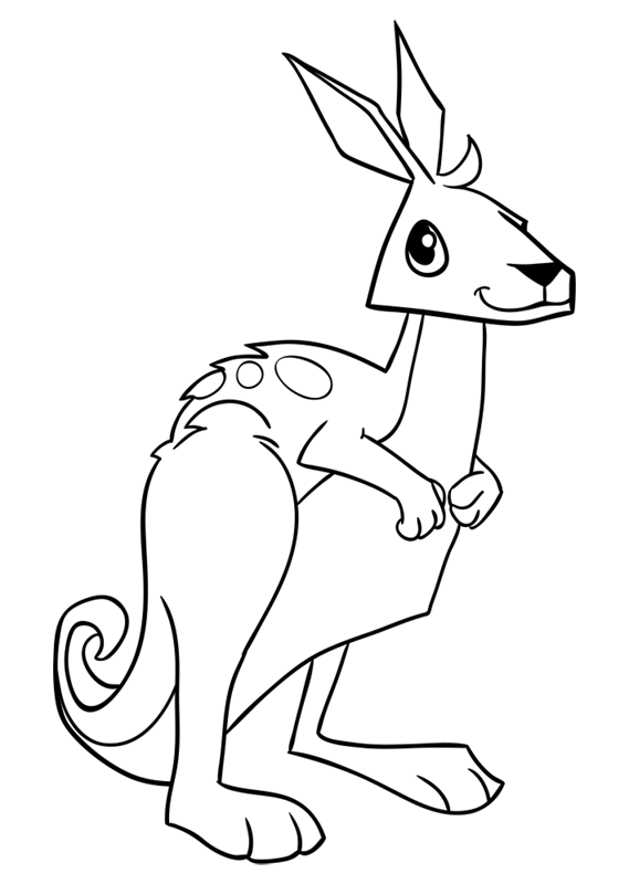 Learn easy to draw Kangaroo step 14