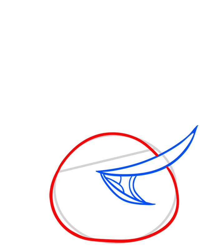 Learn easy to draw Orange Bird step 03