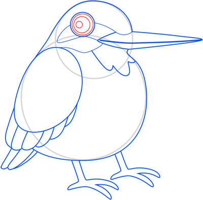 Learn easy to draw kingfisher step 09