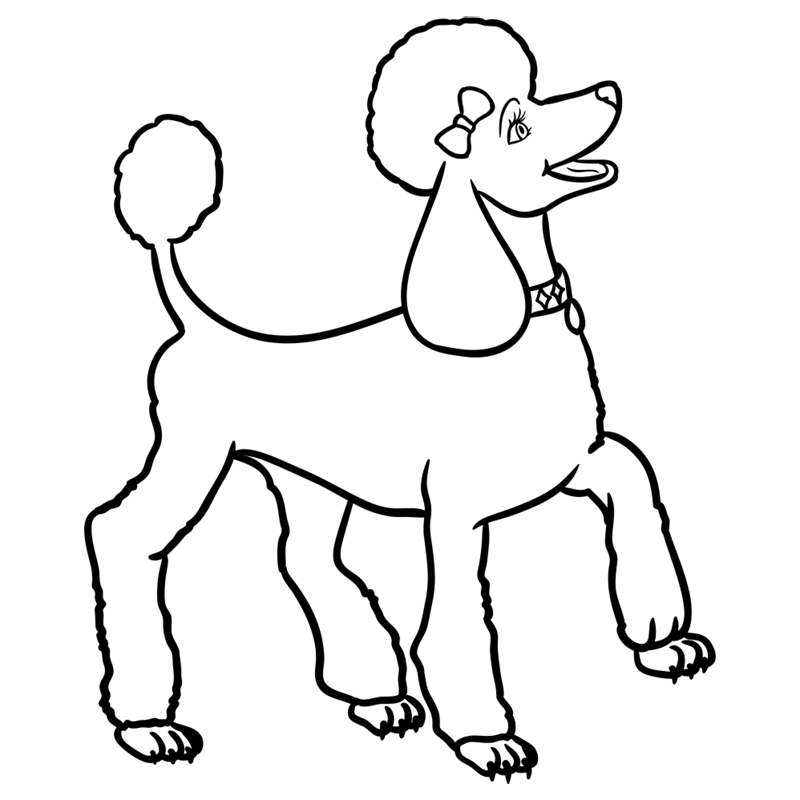 Learn easy to draw sequin step 10