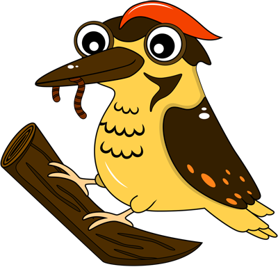 Learn easy to draw woodpecker step 00