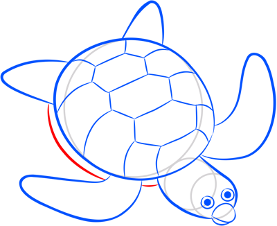 Learn easy to draw how easy to draw a turtle 11