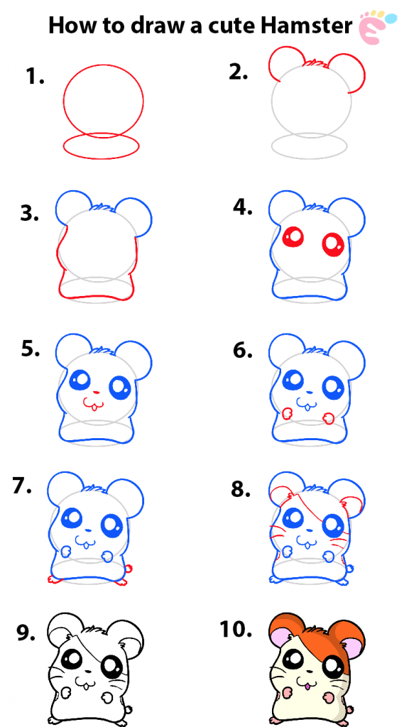 Hamster Drawing Step By Step Hamster Drawing Hamsters Amino Hamster Drawing Step By Step Hamster Drawing Hamsters Amino