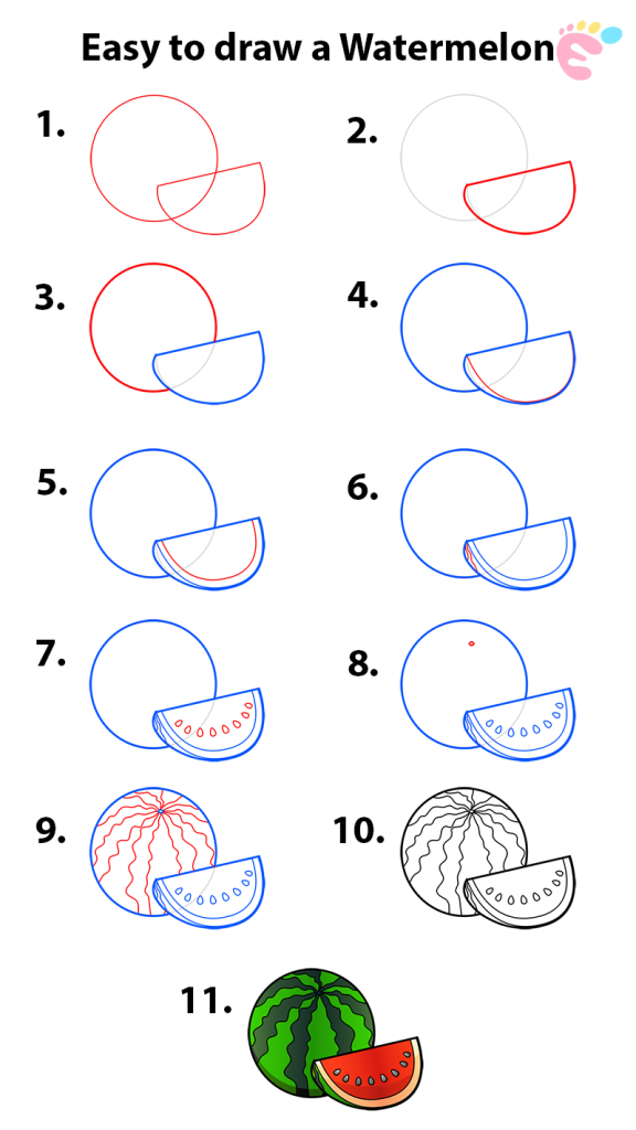 Learn easy to draw how to draw a watermelon drawing 576x1024
