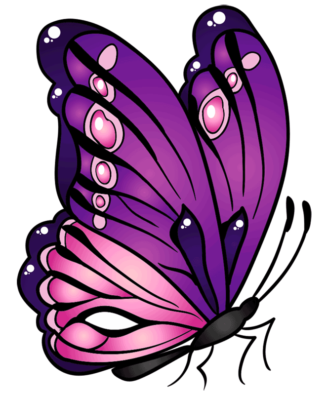 Easy Butterfly Drawing Ideas Butterfly Drawing Outline FIOGN