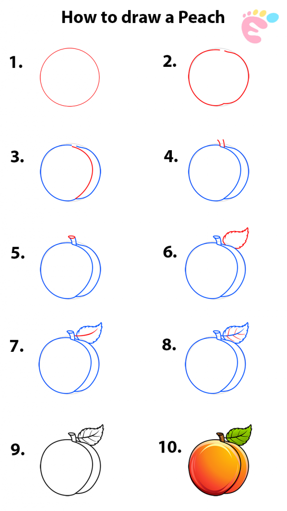 Learn easy to draw how to draw a peach drawing 576x1024