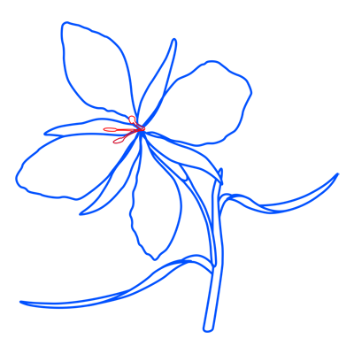 Learn easy to draw how to draw an orchid drawing step 10