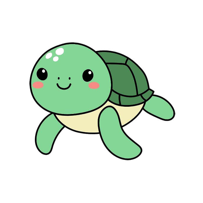 Learn how to draw a sea turtle